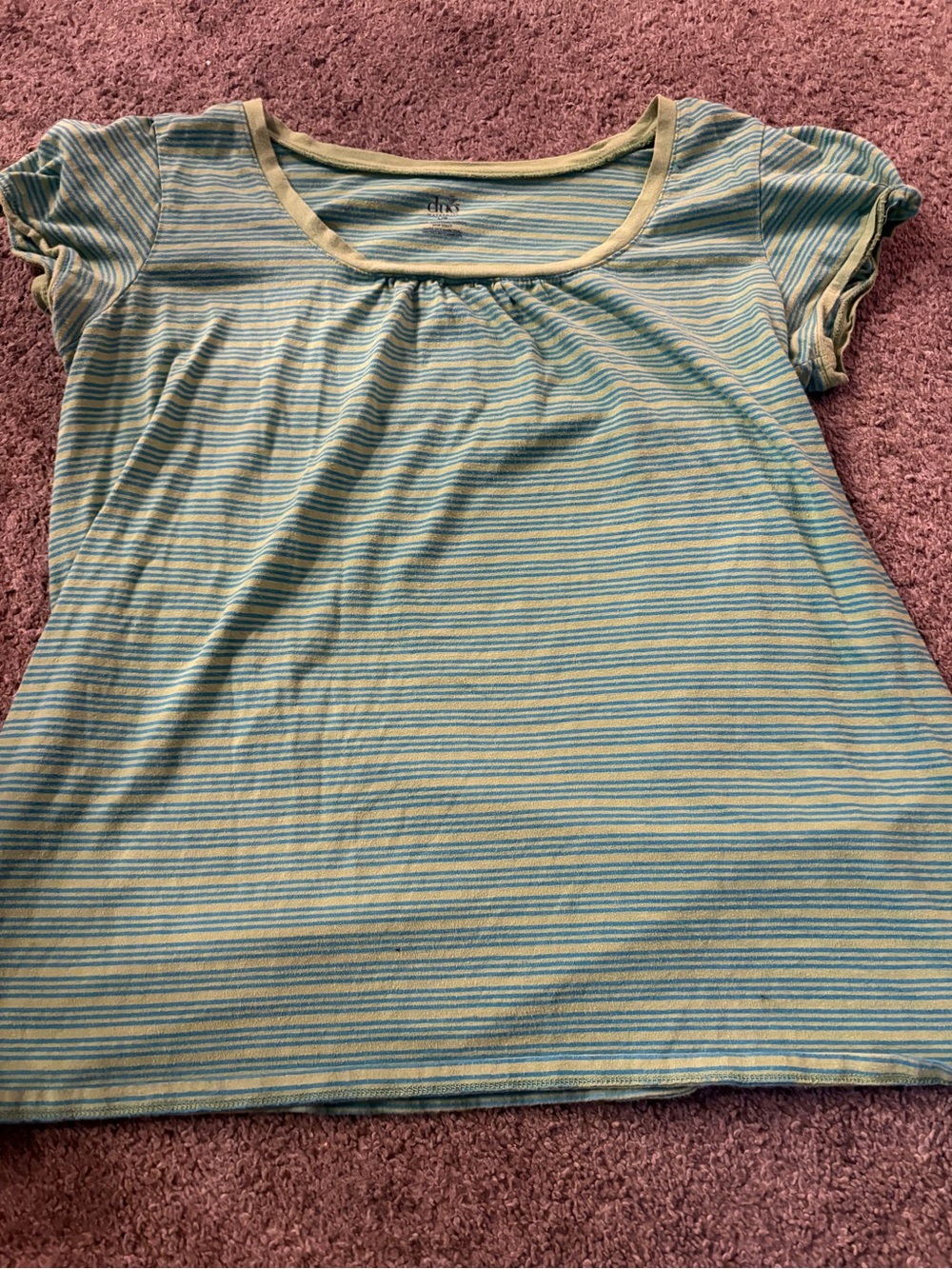 duo Maternity Short Sleeve Scoop Tee in Blue and Green Stripes